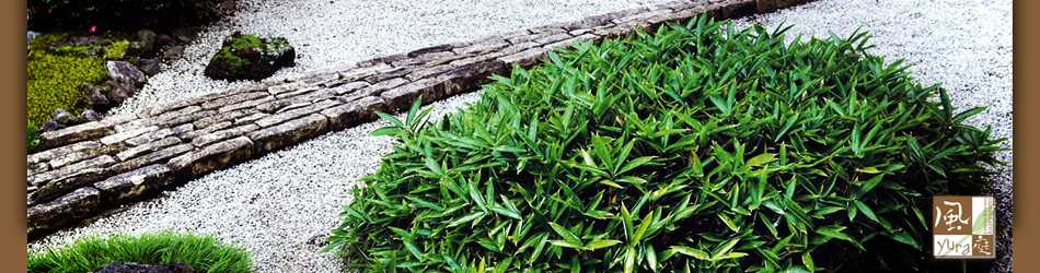 ��yura��@�{�H�ʐ^